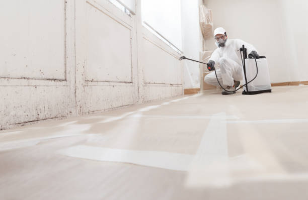 24/7 Emergency Crawl Space Mold Remediation experts in Gig Harbor, WA